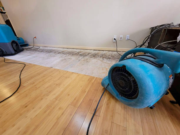 Professional Structural Drying technician working in Warner, NH